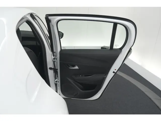 Peugeot 208 PureTech 100 Active Pack 2021 Benzine 53