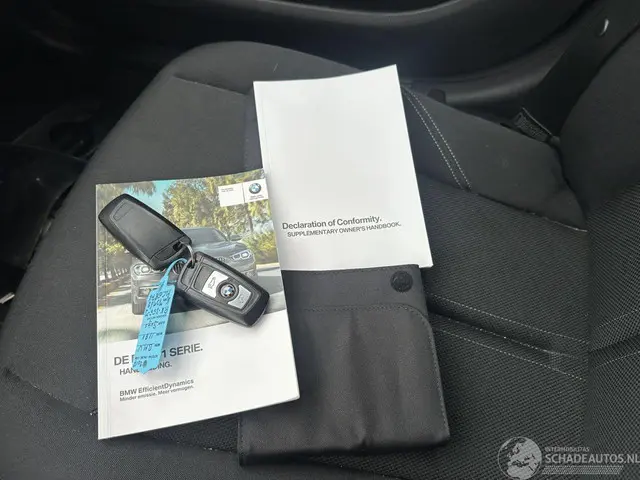 BMW 1 Serie 118i Executive 2017 Benzine 12