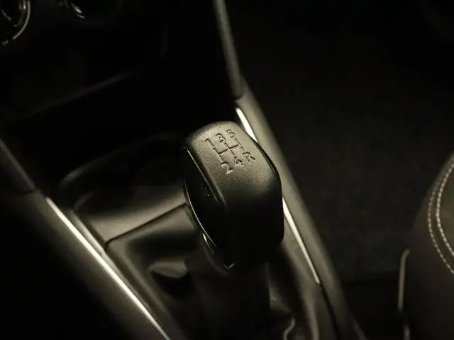 Peugeot 208 1.2 PureTech Blue Lion 2017 Benzine 28