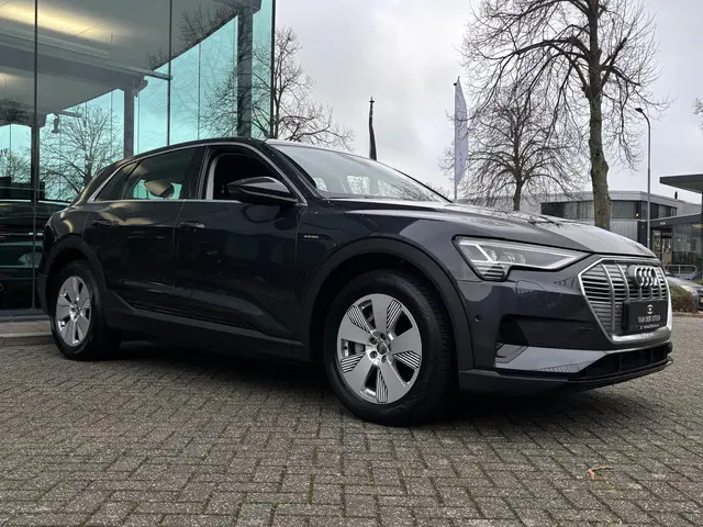 Audi e-tron 50 quattro edition 71 kWh 2020 Elektrisch 19