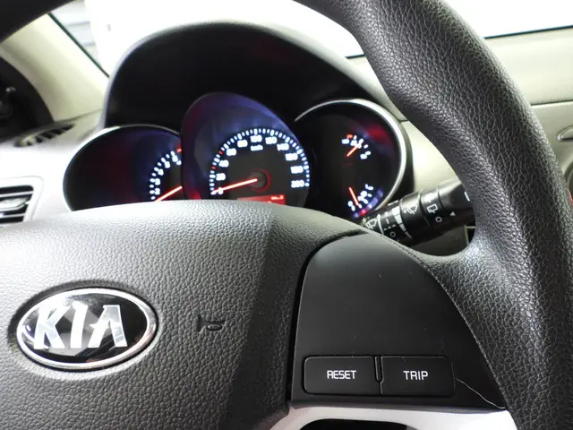 Kia Picanto 1.0 CVVT Summer Edition 2017 Benzine 9