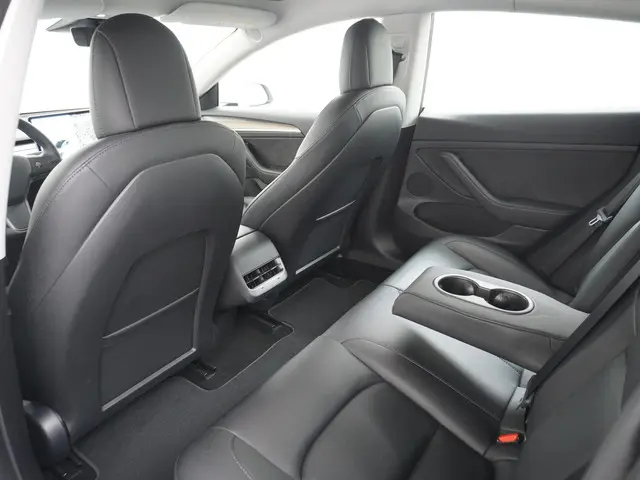 Tesla Model 3 Standard RWD Plus 60 kWh 2021 Elektrisch 21