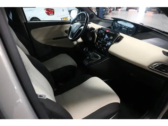 Lancia Ypsilon 1.2 Gold / LEUK MODEL ! ! ! 2014 Benzine 10