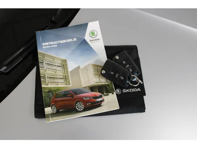 Škoda Fabia Combi 1.0 TSI Sport Business 2020 Benzine 32
