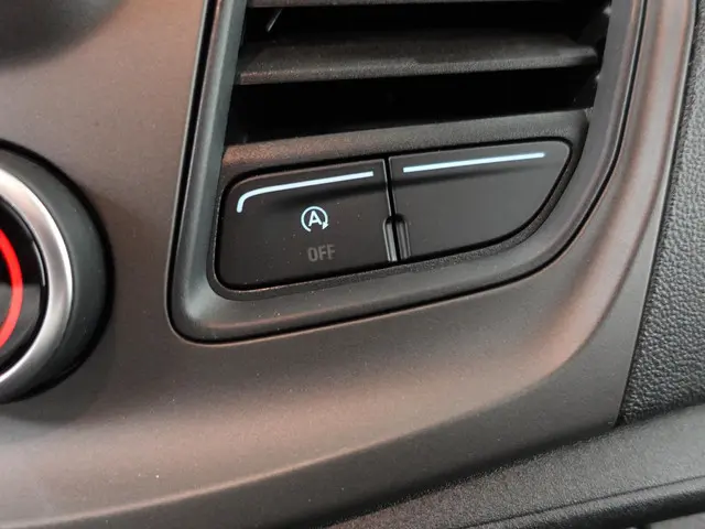 Ford Transit 350 2.0 TDCI L4H3 Trend 2024 Diesel 14