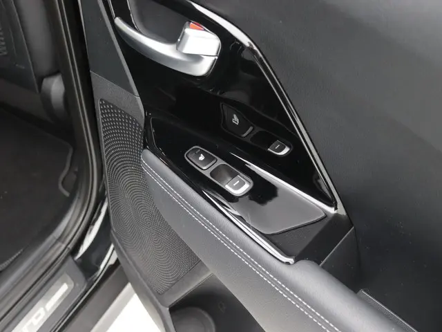 Kia e-Niro ExecutiveLine 64 kWh Leder 2019 Elektrisch 13