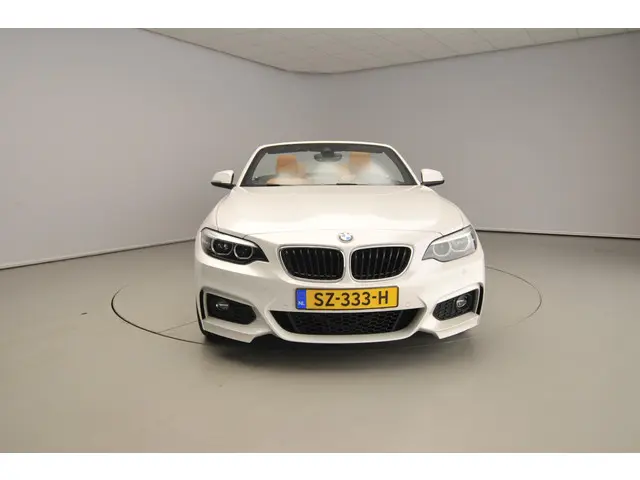 BMW 2 Serie Cabrio 220i 2018 Benzine 5