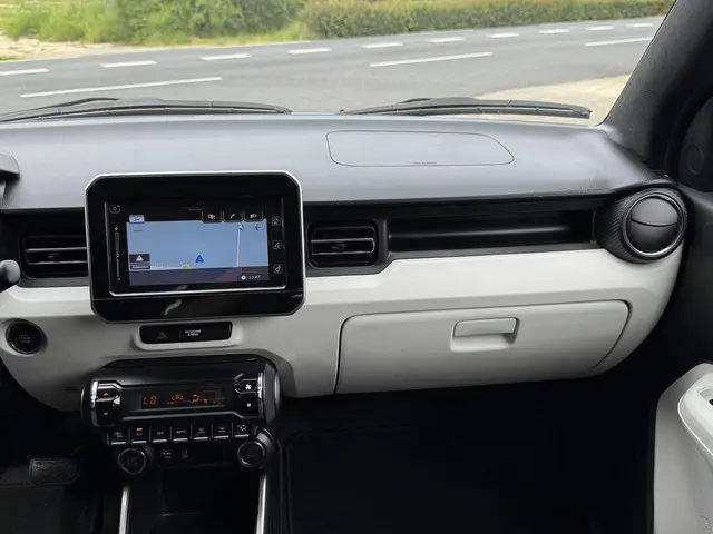 Suzuki Ignis 1.2 Stijl 2019 Benzine 25