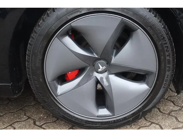 Tesla Model 3 Standard RWD Plus 60 kWh 2019 Elektrisch 14