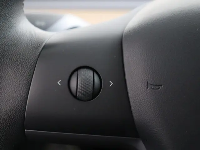 Tesla Model 3 Standard RWD Plus 60 kWh 2020 Elektrisch 16