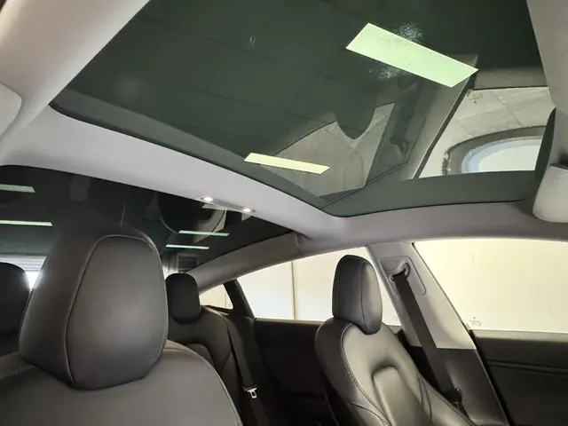 Tesla Model 3 Performance AWD 75 kWh 2019 Elektrisch 14