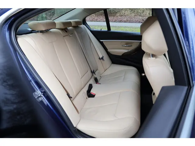 BMW 3 Serie 318i Luxury Edition 2019 Benzine 15