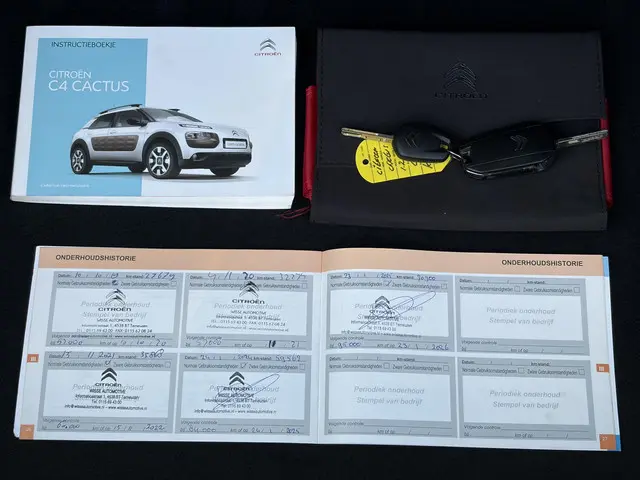 Citroën C4 Cactus 1.2 PureTech Shine 2016 Benzine 22