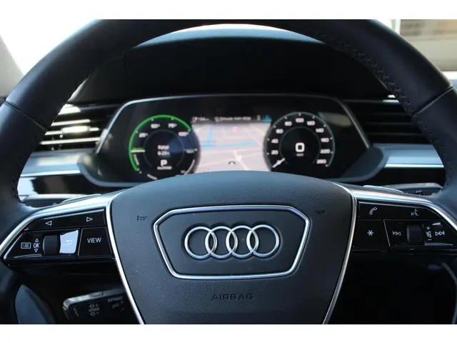 Audi e-tron 55 Quattro Advanced 2019 Elektrisch 15