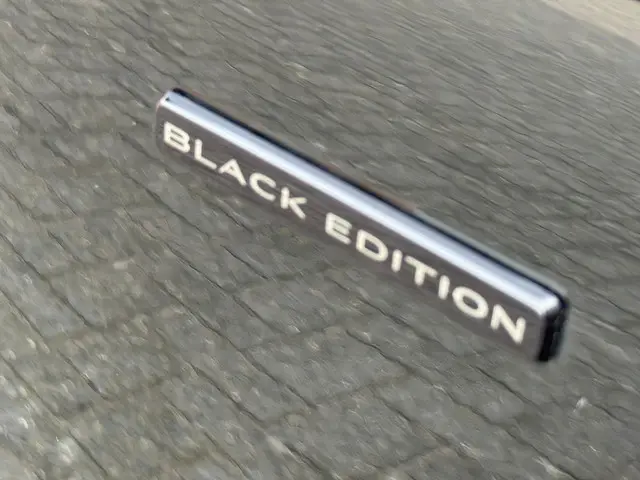 Renault Scénic 1.3 TCe Bose Black Edition 2020 Benzine 29