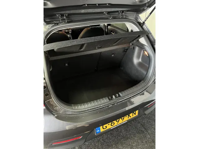 Kia Rio 1.0 TGDI DynamicLine 2019 Benzine 6