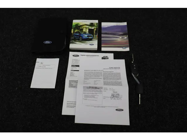 Ford EcoSport 3