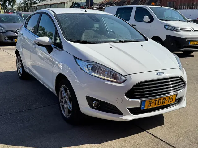 Ford Fiesta 1.0 EcoBoost Titanium / AIRCO / NAP 2014 Benzine 4