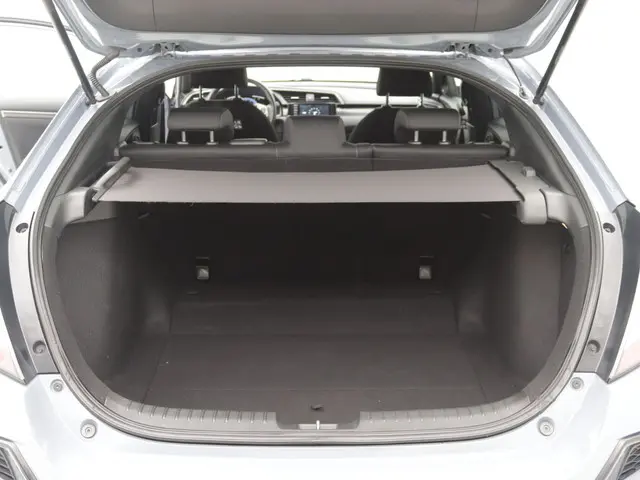 Honda Civic 1.0 i-VTEC Business Edition 2020 Benzine 14