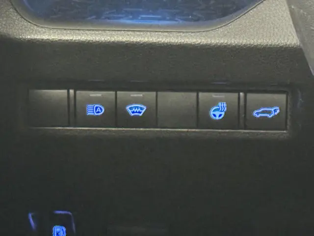 Toyota RAV4 2.5 Hybrid Bi-Tone 2019 Hybride Benzine 16