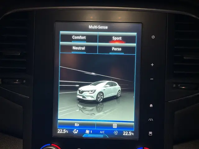 Renault Mégane 1.6 TCe GT 2016 Benzine 45