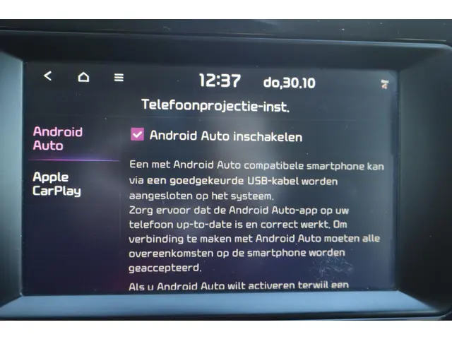 Kia e-Niro DynamicLine 64 kWh 2019 Elektrisch 31