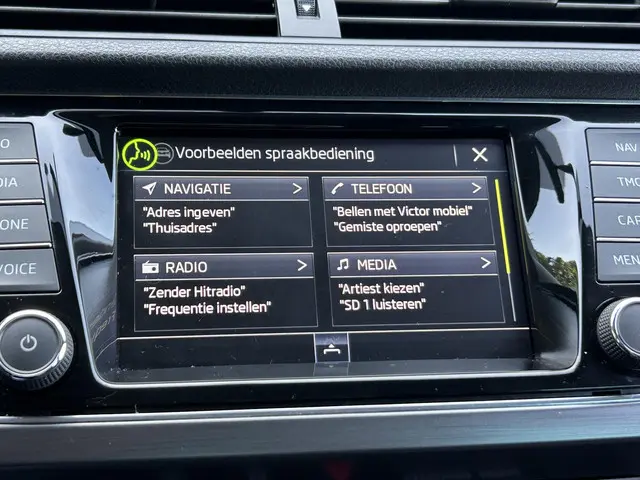 Škoda Fabia Combi 1.0 TSI Business Edition 2020 Benzine 14