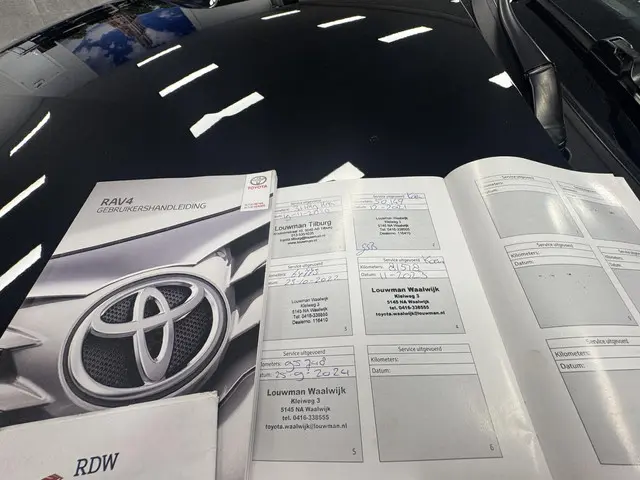 Toyota RAV4 2.5 Hybrid Energy Plus 2019 Hybride Benzine 18