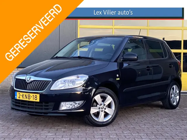 Škoda Fabia 1.2 TSI Comfort LPG-G3 2013 Benzine
