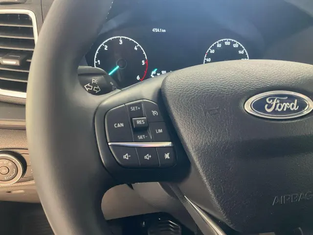 Ford Transit 350 2.0 TDCI L3H2 Trend 2024 Diesel 11