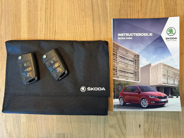 Škoda Fabia Combi 1.0 TSI Sport Business 2020 Benzine 39