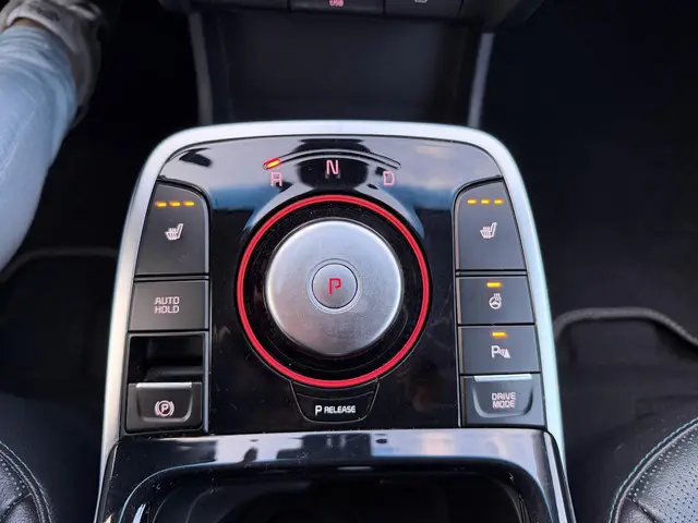 Kia e-Niro DynamicLine 64 kWh 2020 Elektrisch 13