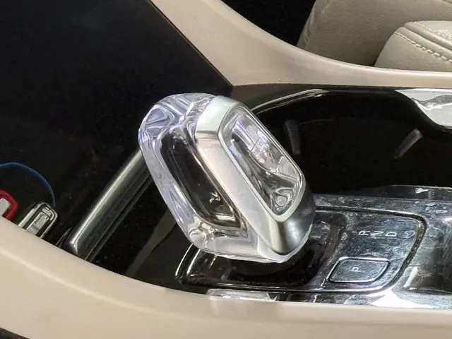 Volvo XC40 2.0 T4 Inscription 2019 Benzine 9