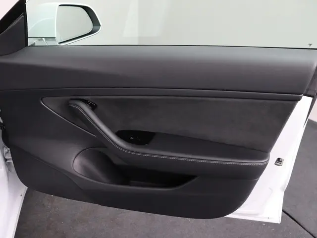 Tesla Model 3 Standard RWD Plus 60 kWh 2020 Elektrisch 26