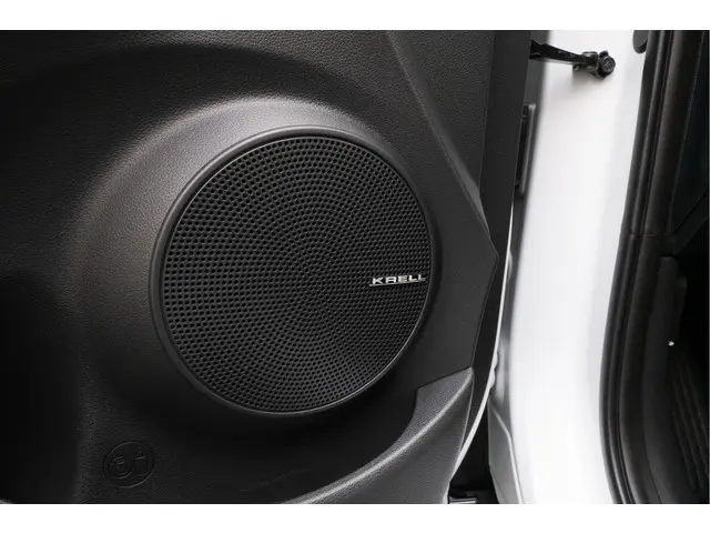 Hyundai Kona EV Premium 64 kWh SOH 93% 2019 Elektrisch 25