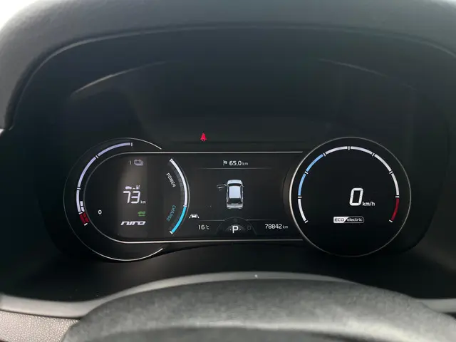 Kia e-Niro ExecutiveLine 64 kWh 2020 Elektrisch 10