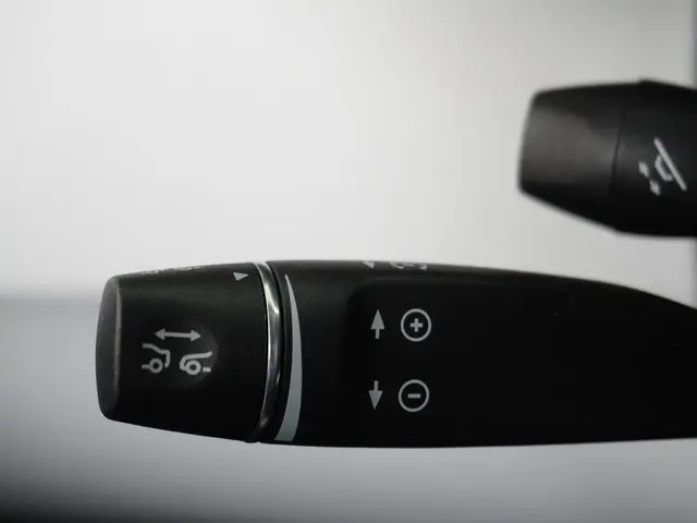 Tesla Model X Long Range 100Kwh 2020 Elektrisch 28