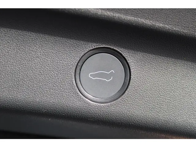 Tesla Model Y RWD 58 kWh 2023 Elektrisch 14