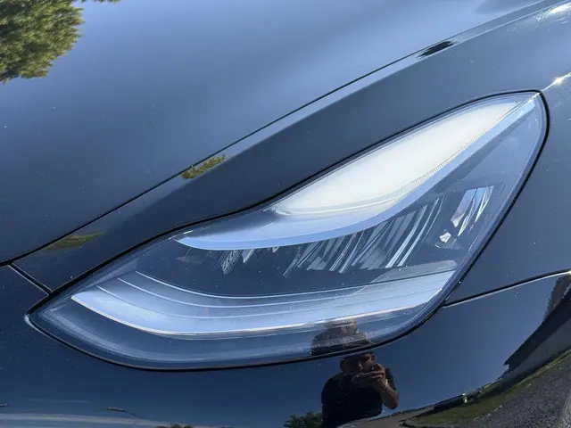 Tesla Model 3 Long Range AWD 75 kWh 2019 Elektrisch 28
