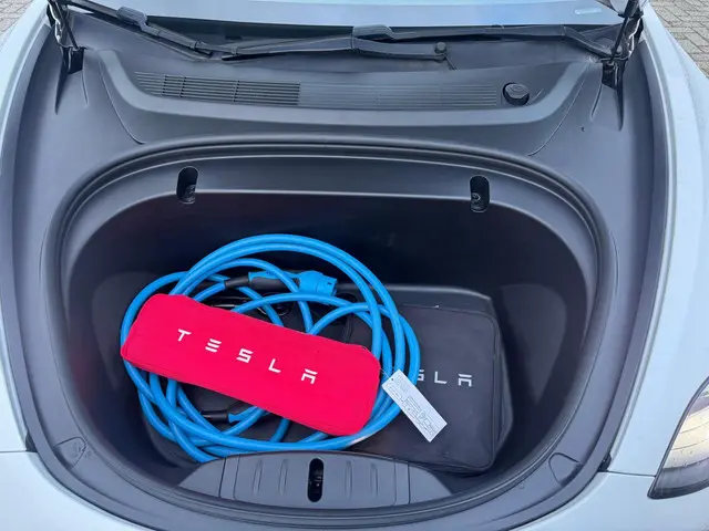Tesla Model 3 Standard RWD Plus 89% SoH 2020 Elektrisch 10