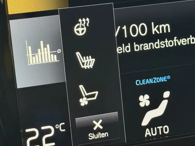 Volvo V90 2.0 T4 Business Luxury+ 2020 Benzine 11