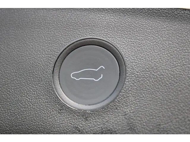 Tesla Model 3 Standard RWD Plus 60 kWh 2022 Elektrisch 6
