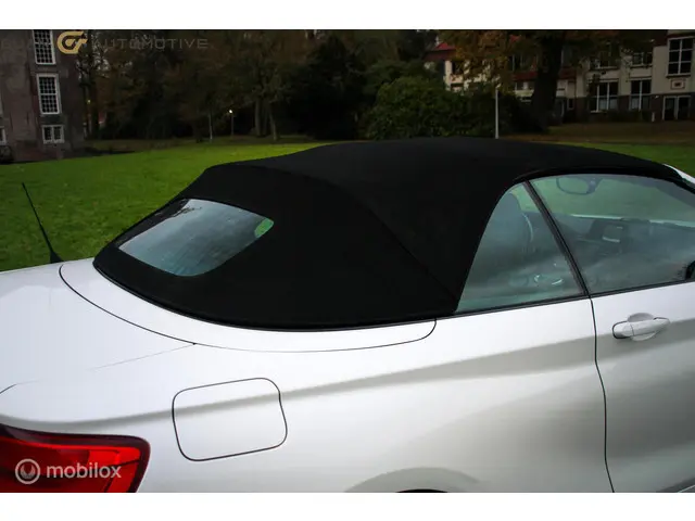 BMW 2 Serie Cabrio | 2018 Benzine 29