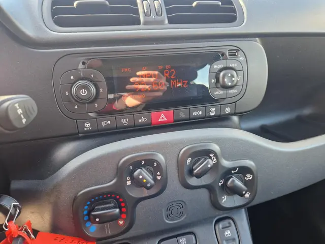 Fiat Panda 1.2 Lounge 2019 Benzine 15