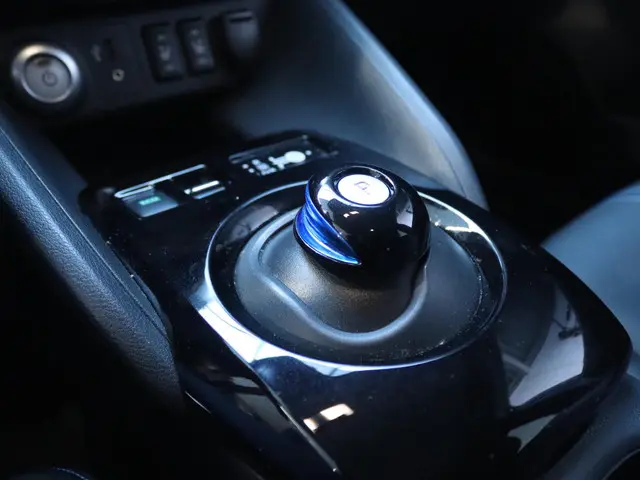 Nissan Leaf Tekna 40 kWh 2019 Elektrisch 24