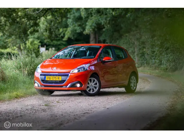 Peugeot 208 1.2 PureTech Blue Lion 2017 Benzine 20