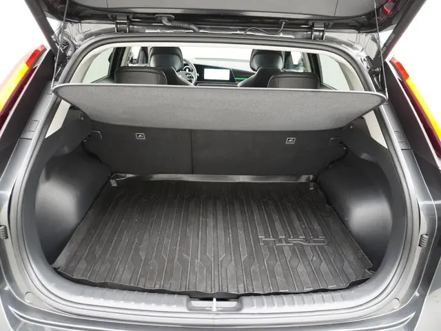 Kia Niro EV ExecutiveLine 64.8 kWh 2023 Elektrisch 12