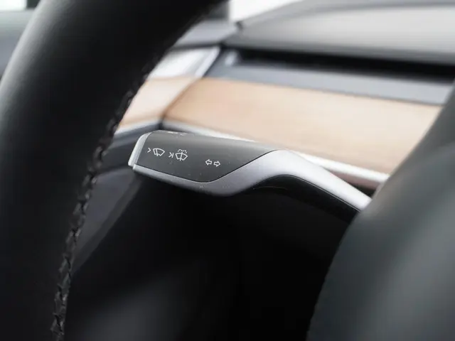 Tesla Model 3 Standard RWD Plus 60 kWh 2021 Elektrisch 27