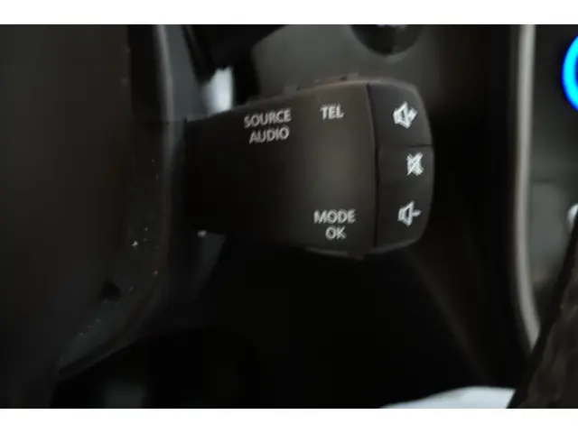 Renault Grand Scénic 1.3 TCe Limited 7p. 2020 Benzine 16