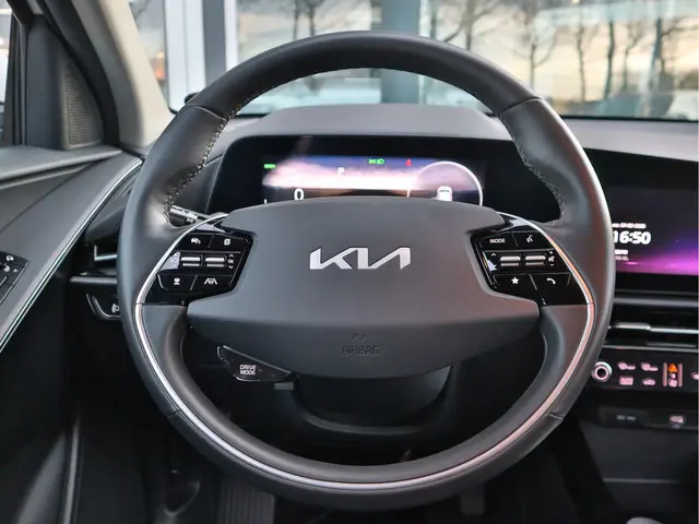 Kia Niro EV DynamicLine 64.8 kWh 2023 Elektrisch 10